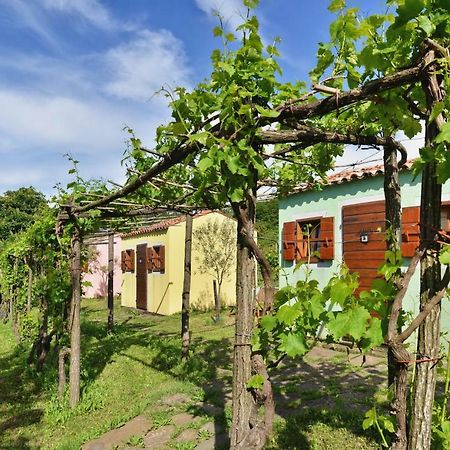 Glamping Green Istria Tiny Houses Truške Exteriör bild