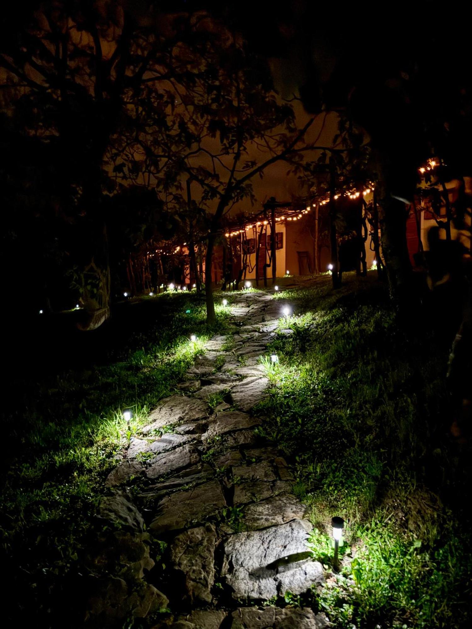 Glamping Green Istria Tiny Houses Truške Exteriör bild