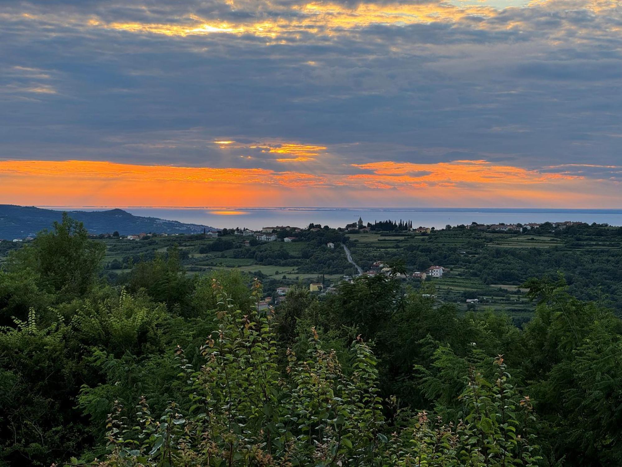 Glamping Green Istria Tiny Houses Truške Exteriör bild