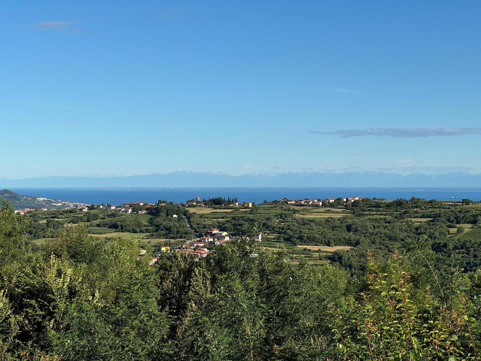 Glamping Green Istria Tiny Houses Truške Exteriör bild