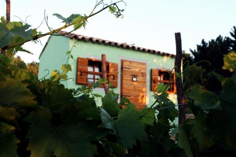Glamping Green Istria Tiny Houses Truške Exteriör bild