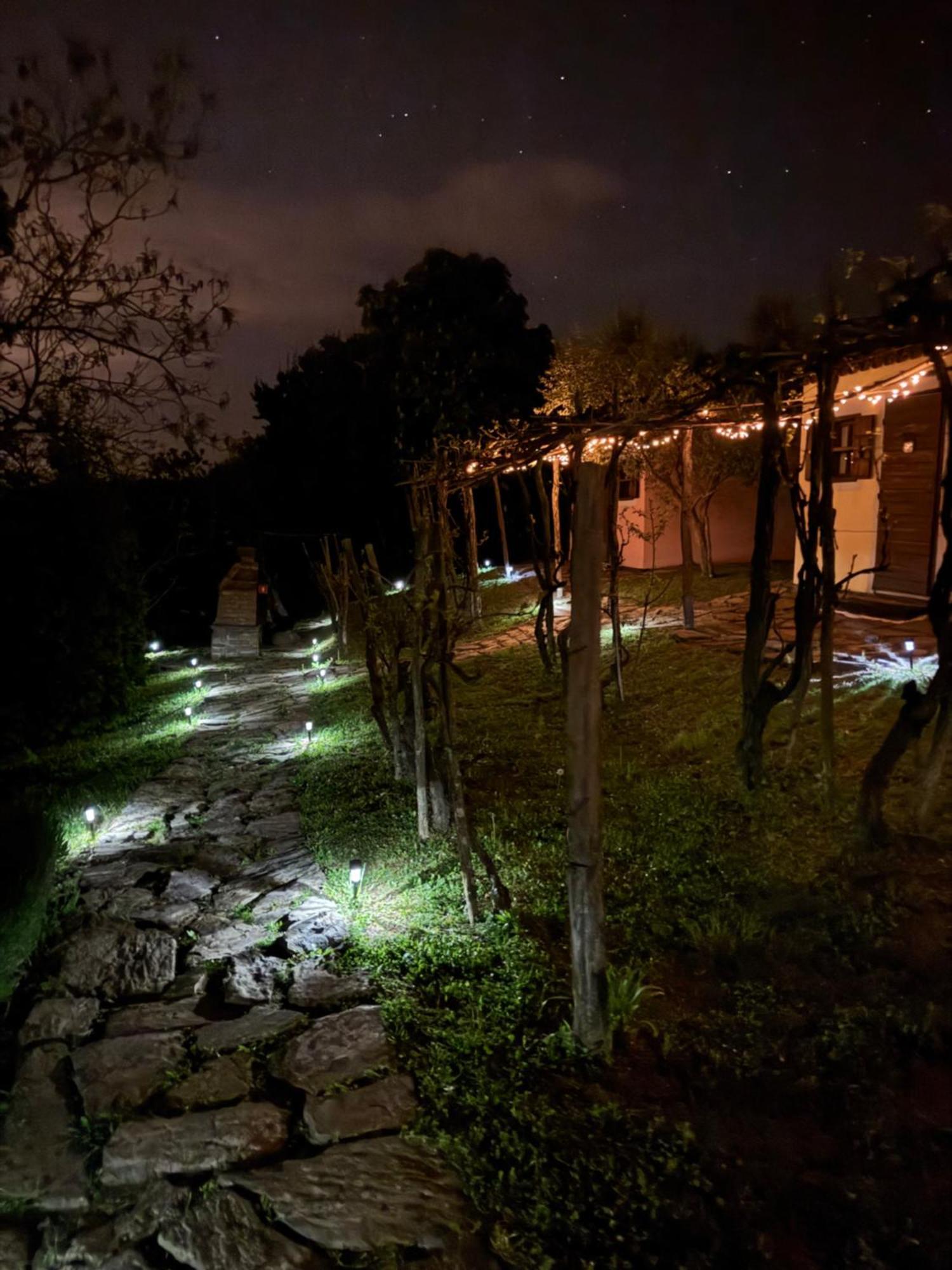 Glamping Green Istria Tiny Houses Truške Exteriör bild