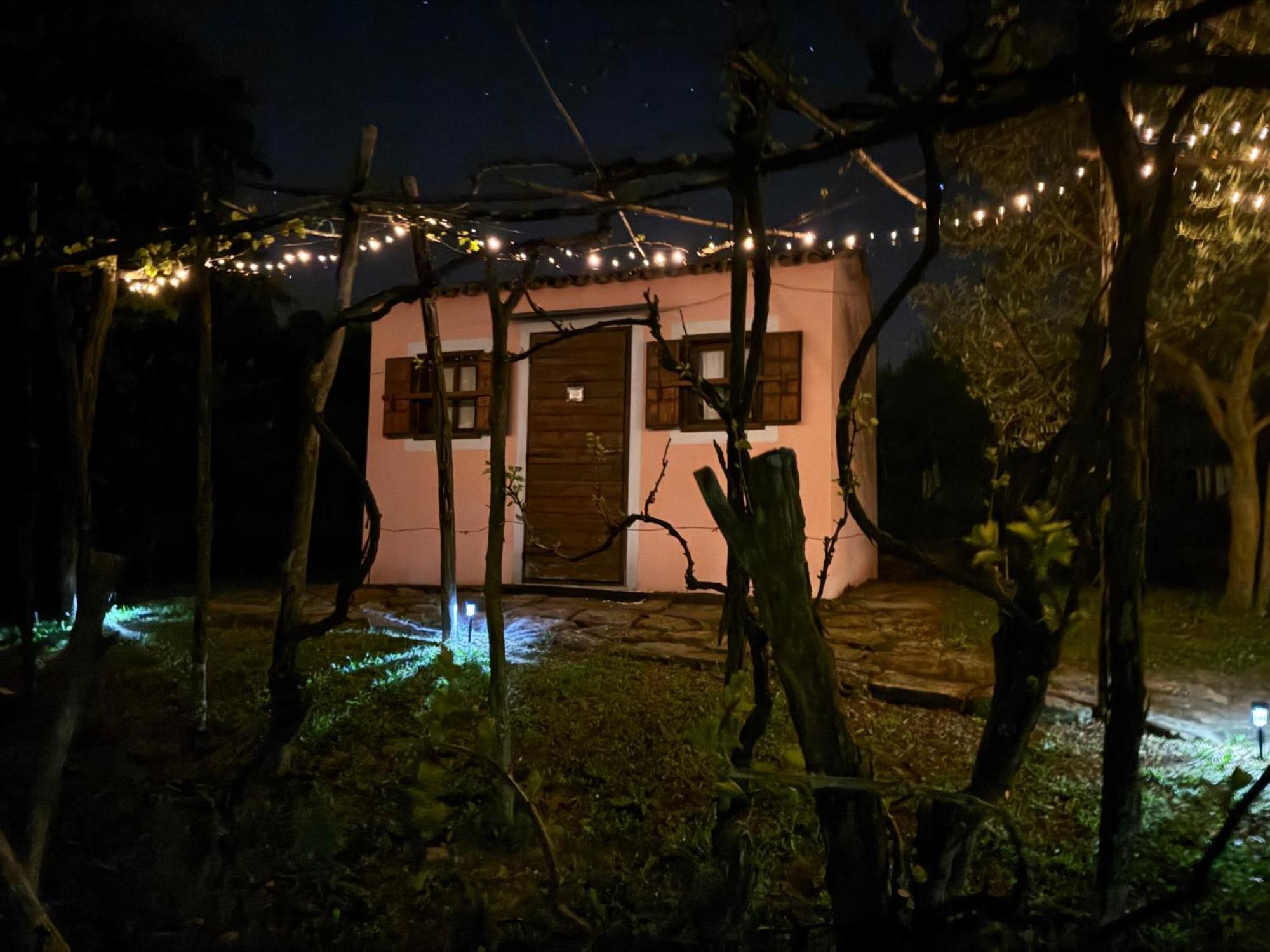 Glamping Green Istria Tiny Houses Truške Exteriör bild